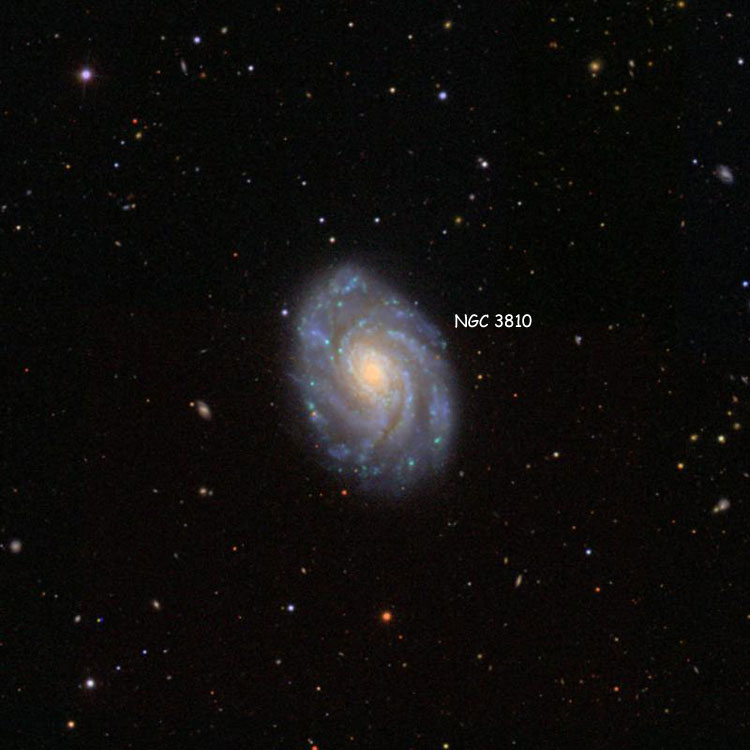 SDSS image of region near spiral galaxy NGC 3810