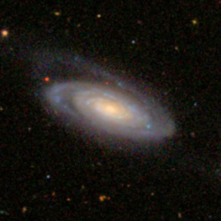 SDSS image of spiral galaxy NGC 3815
