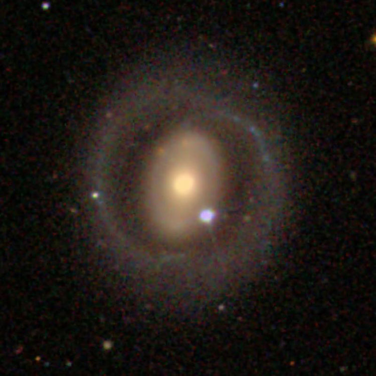 SDSS image of spiral galaxy NGC 3821
