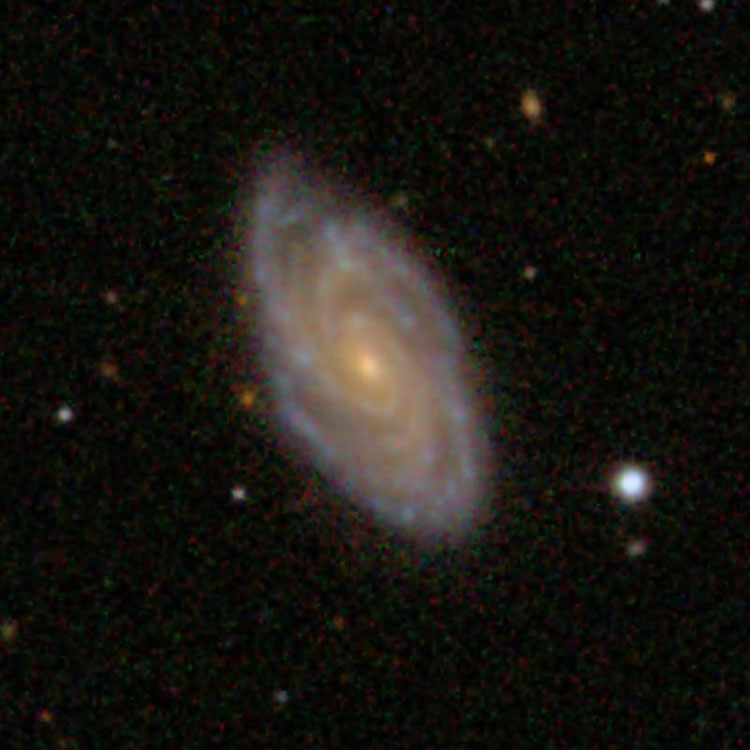 SDSS image of spiral galaxy NGC 3833