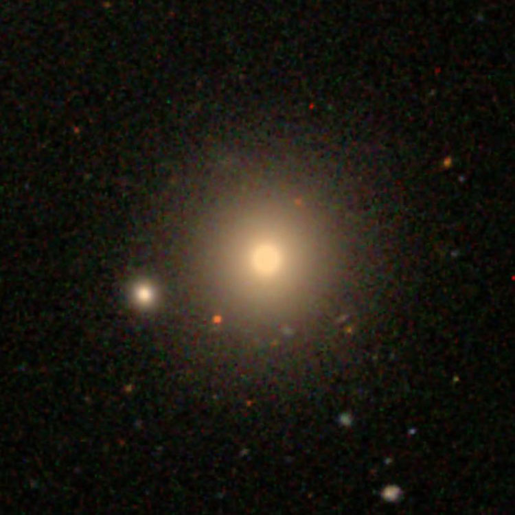 SDSS image of elliptical galaxy NGC 3837