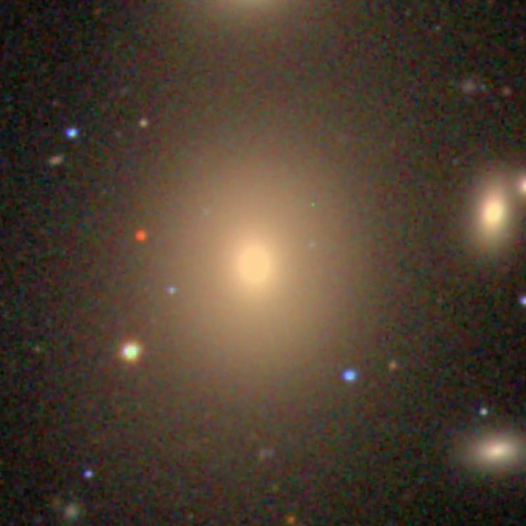 SDSS image of elliptical galaxy NGC 3842