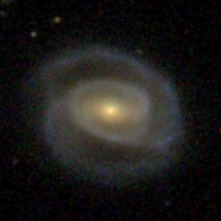 SDSS image of spiral galaxy NGC 3855, also known as IC 2953