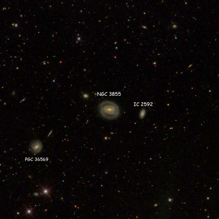 SDSS image of region near spiral galaxy NGC 3855, also known as IC 2953, also showing IC 2952 and PGC 36569, which is often misidentified as NGC 3855 or NGC 3856
