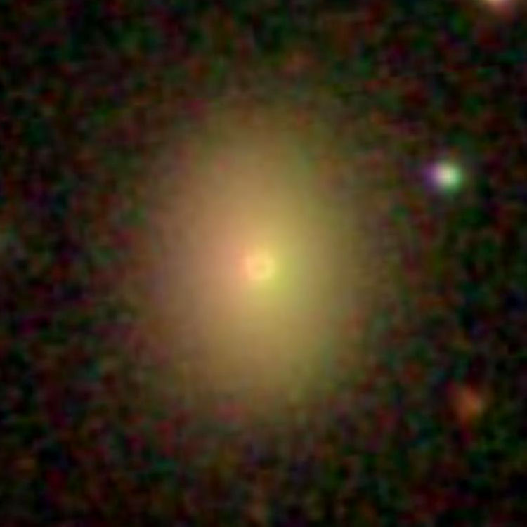 SDSS image of elliptical galaxy NGC 386