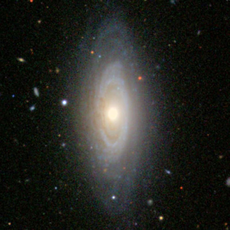 SDSS image of spiral galaxy NGC 3900