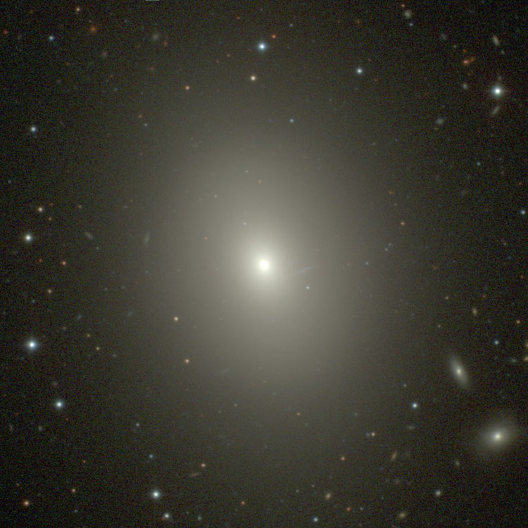 Carnegie-Irvine Galaxy Survey image of elliptical galaxy NGC 3904