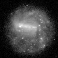 de Vaucouleurs Atlas of Galaxies image of page for NGC 1566