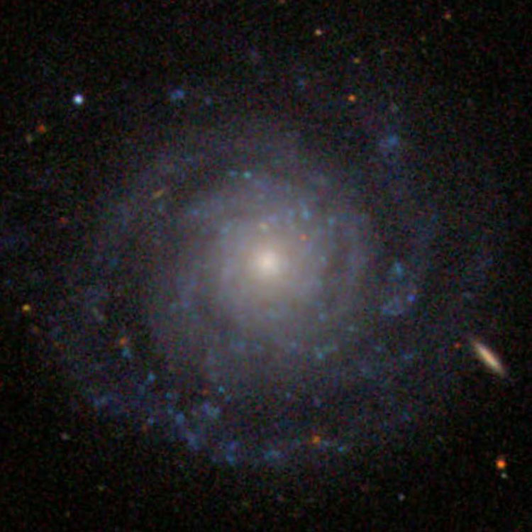 SDSS image of spiral galaxy NGC 3913