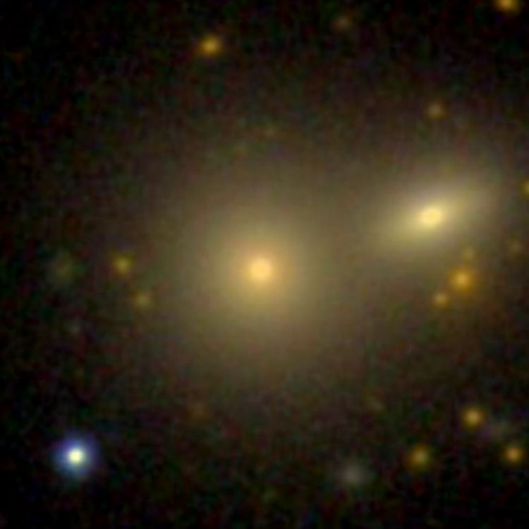 SDSS image of elliptical galaxy PGC 37080, which is either NGC 3926 or the eastern member of that NGC object, also showing PGC 37079, which may be the western half of NGC 3926 or a completely separate object