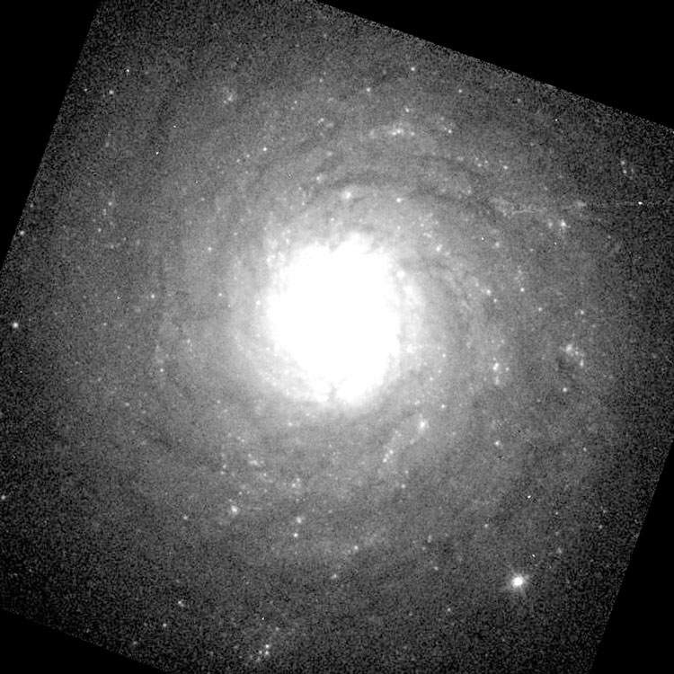 HST image of of central part of spiral galaxy NGC 3928