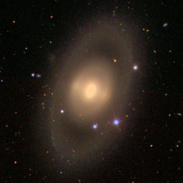 SDSS image of lenticular galaxy NGC 3945