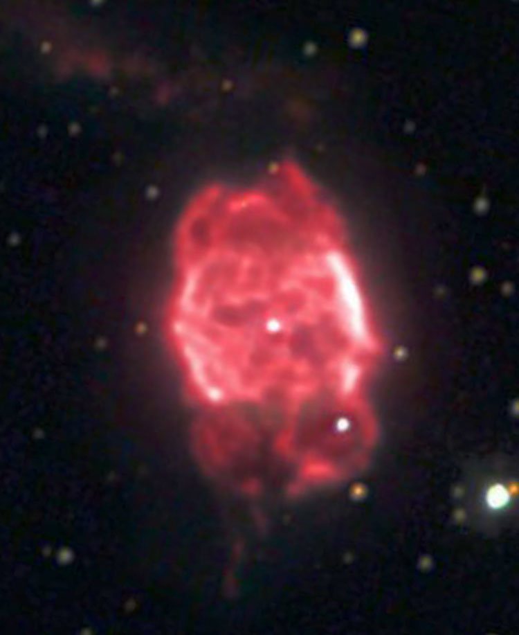 Misti Mountain Observatory image of planetary nebula NGC 40