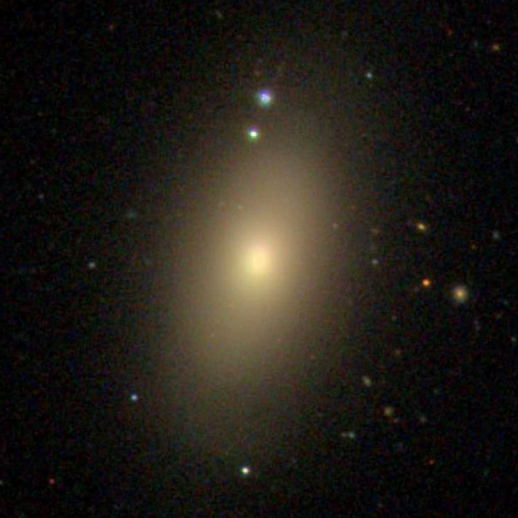 SDSS image of elliptical galaxy NGC 4008