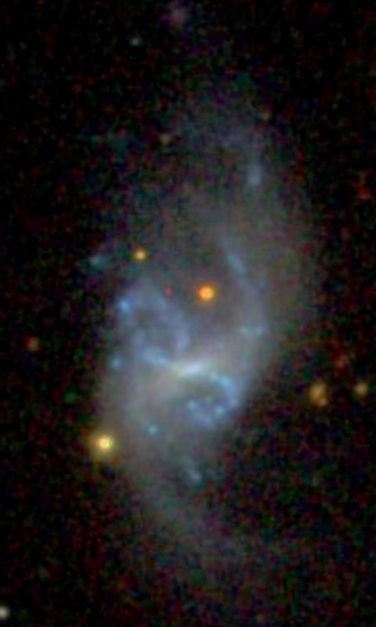 SDSS image of spiral galaxy NGC 4016