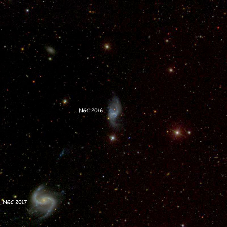 SDSS image of region near spiral galaxy NGC 4016, also showing NGC 4017, with which it comprises Arp 305