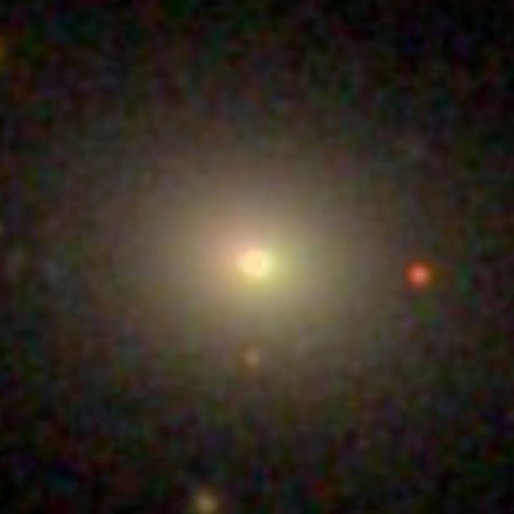 SDSS image of elliptical galaxy NGC 4021
