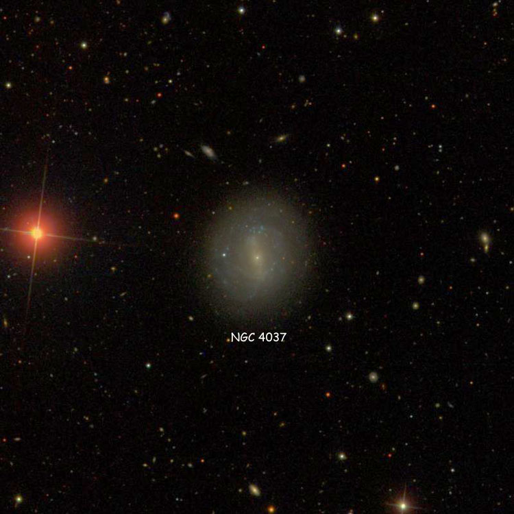 SDSS image of region near spiral galaxy NGC 4037