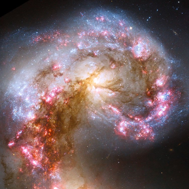 HST image of peculiar spiral galaxy NGC 4038