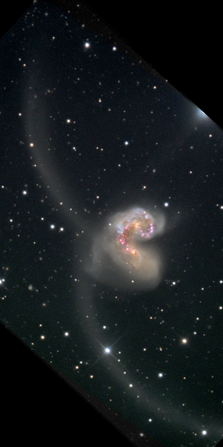 NOAO image of peculiar spiral galaxies NGC 4038 and NGC 4039, the Antennae Galaxies, which comprise Arp 244, also showing the long tails which give them their nickname