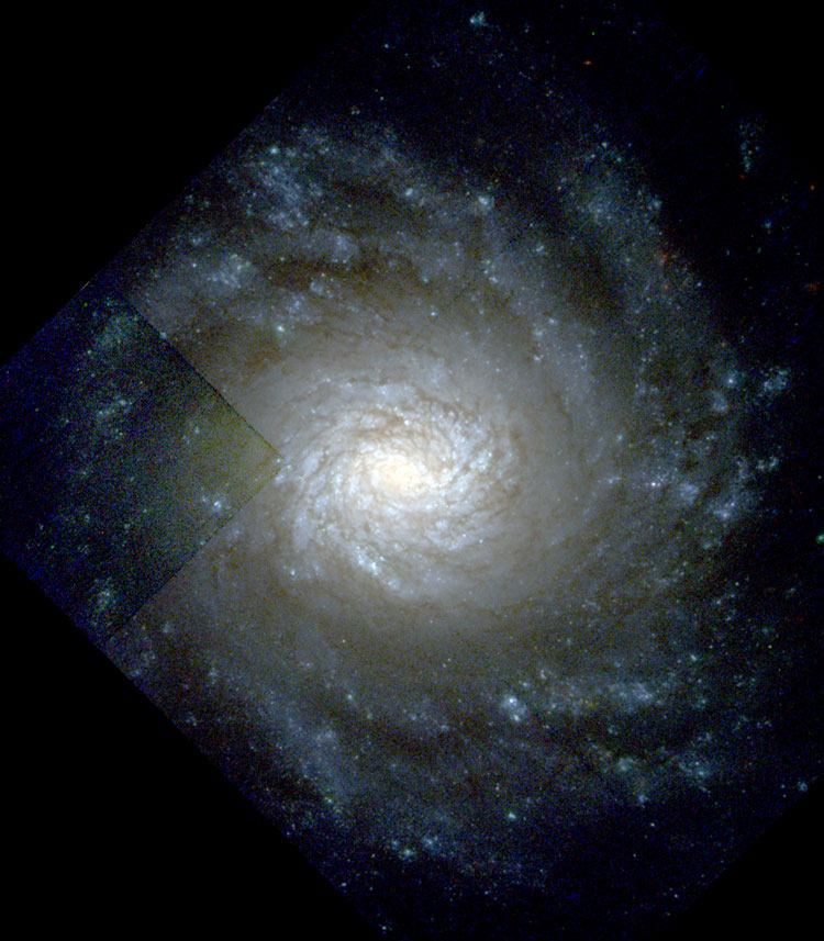 HST image of central region of spiral galaxy NGC 4041