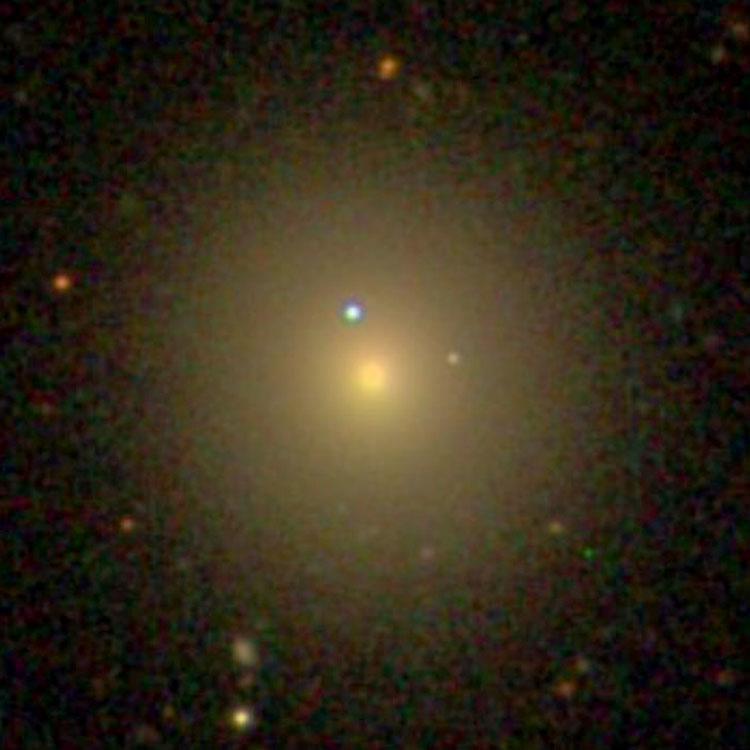 SDSS image of elliptical galaxy NGC 4044