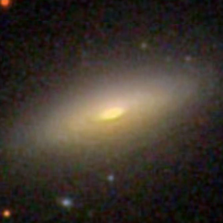 SDSS image of spiral galaxy NGC 4053