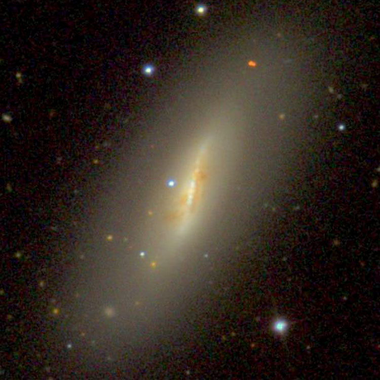 SDSS image of spiral galaxy NGC 4064