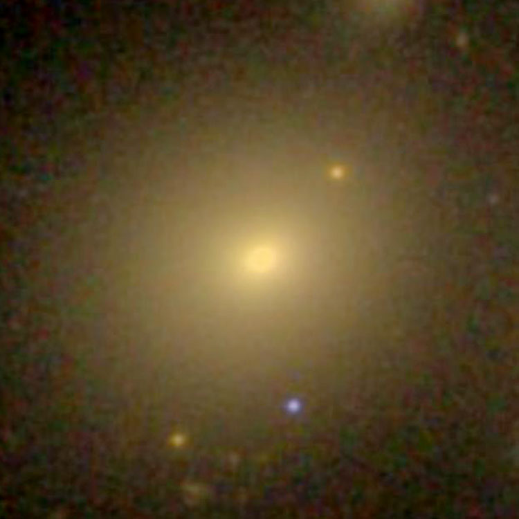 SDSS image of elliptical galaxy NGC 4065