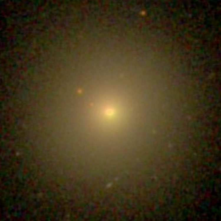 SDSS image of elliptical galaxy NGC 4066