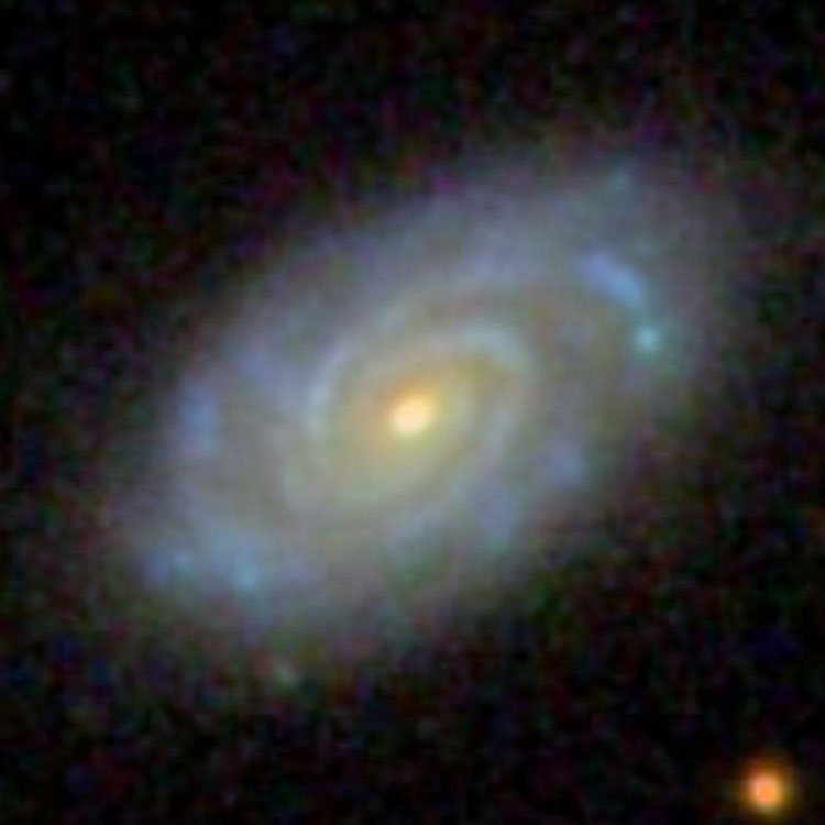 SDSS image of spiral galaxy NGC 41