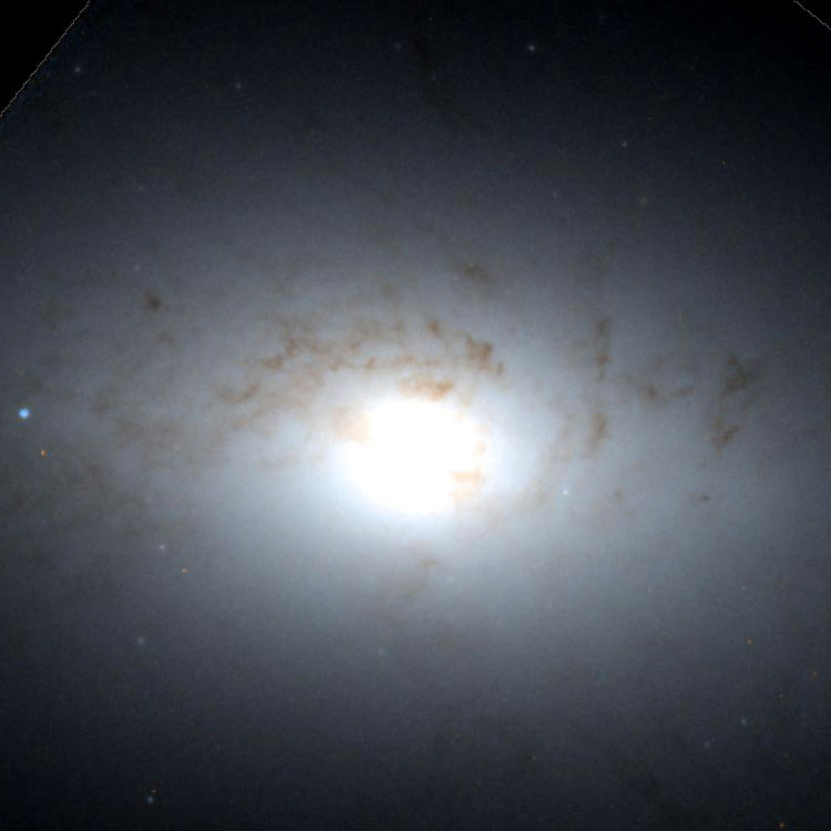 HST image of part of lenticular galaxy NGC 4125, showing dusty regions scattered throughout the otherwise apparently normal central structure