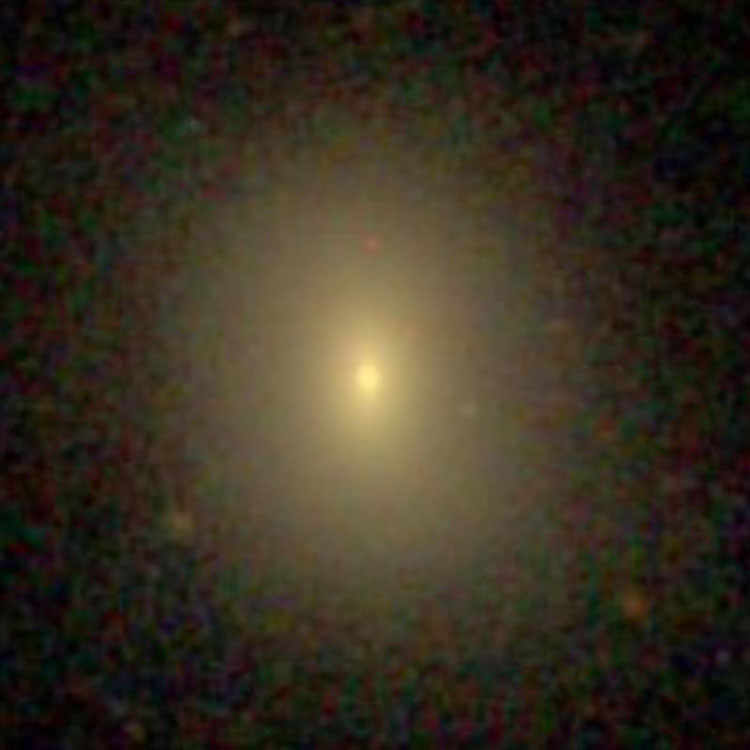 SDSS image of lenticular galaxy NGC 4126