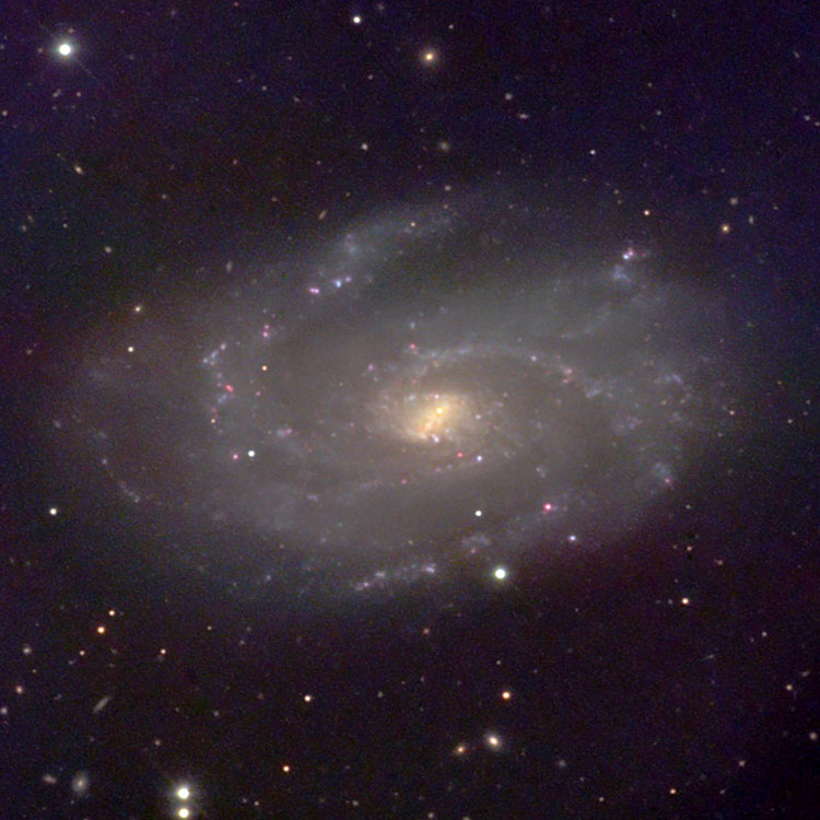 NOAO image of spiral galaxy NGC 4145