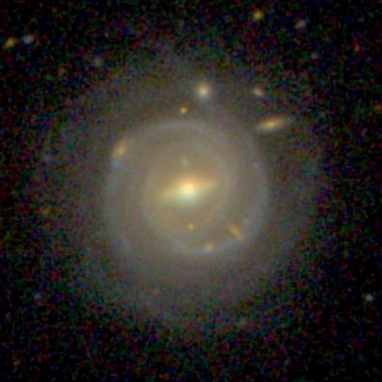 SDSS image of spiral galaxy NGC 4146
