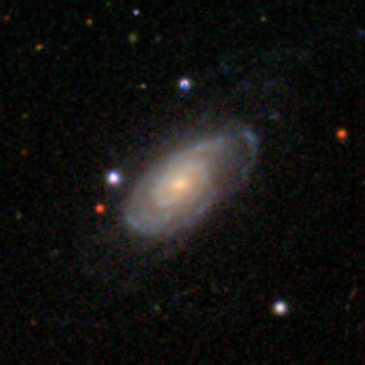 SDSS image of spiral galaxy NGC 4202