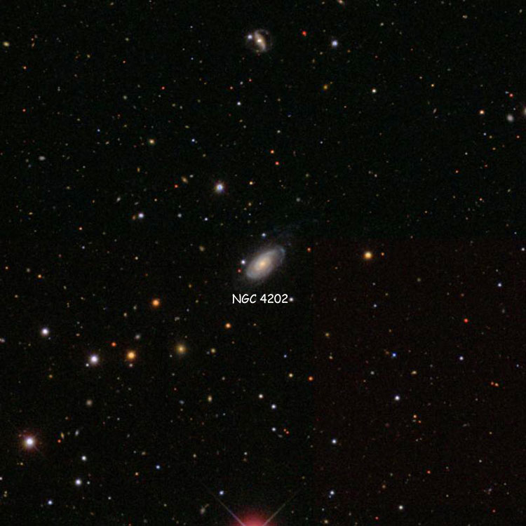 SDSS image of region near spiral galaxy NGC 4202