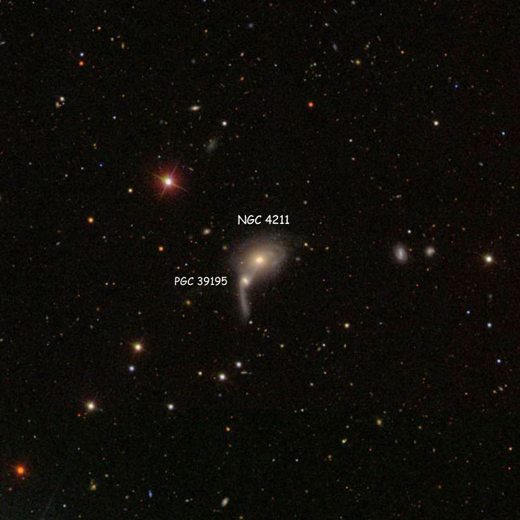 SDSS image of region near lenticular galaxy NGC 4211 and lenticular galaxy PGC 39195 (also known as NGC 4211B), which comprise Arp 106