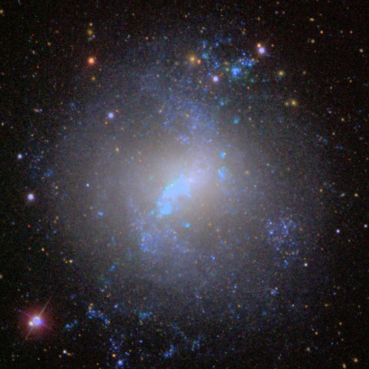 SDSS image of irregular galaxy NGC 4214