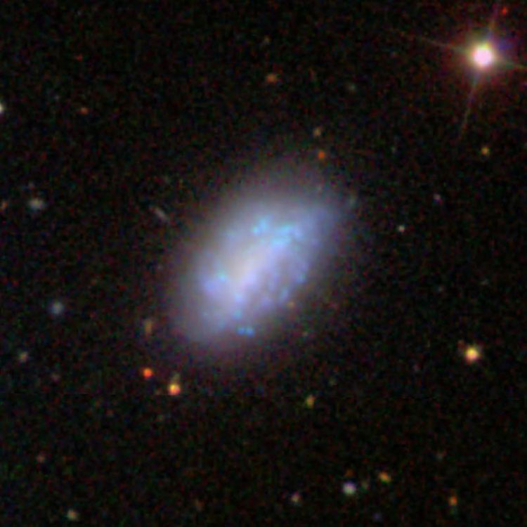 SDSS image of irregular galaxy NGC 4218