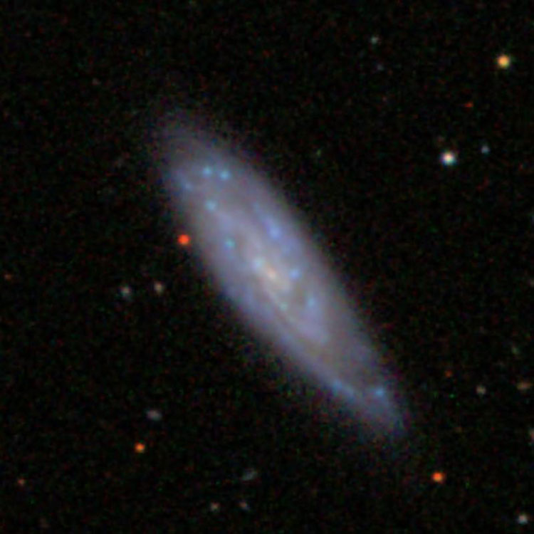 SDSS image of spiral galaxy NGC 4238