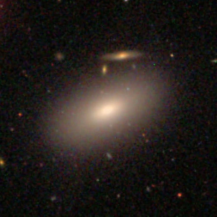 SDSS image of elliptical galaxy NGC 4239