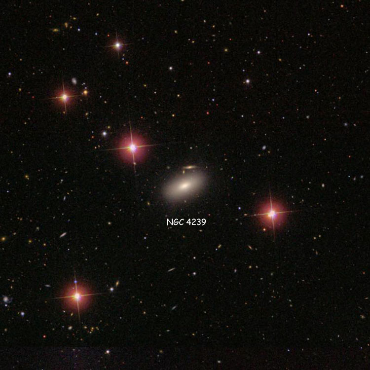SDSS image of region near elliptical galaxy NGC 4239