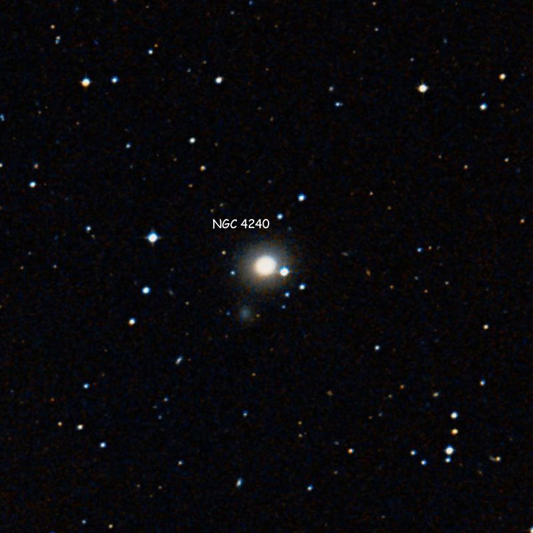 DSS image of region near elliptical galaxy NGC 4240