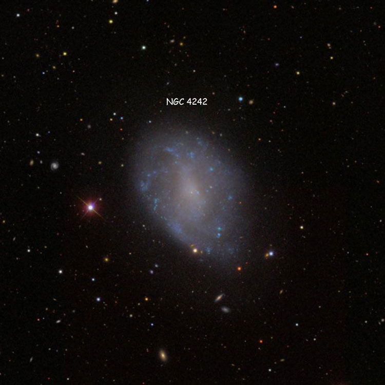 SDSS image of region near spiral galaxy NGC 4242