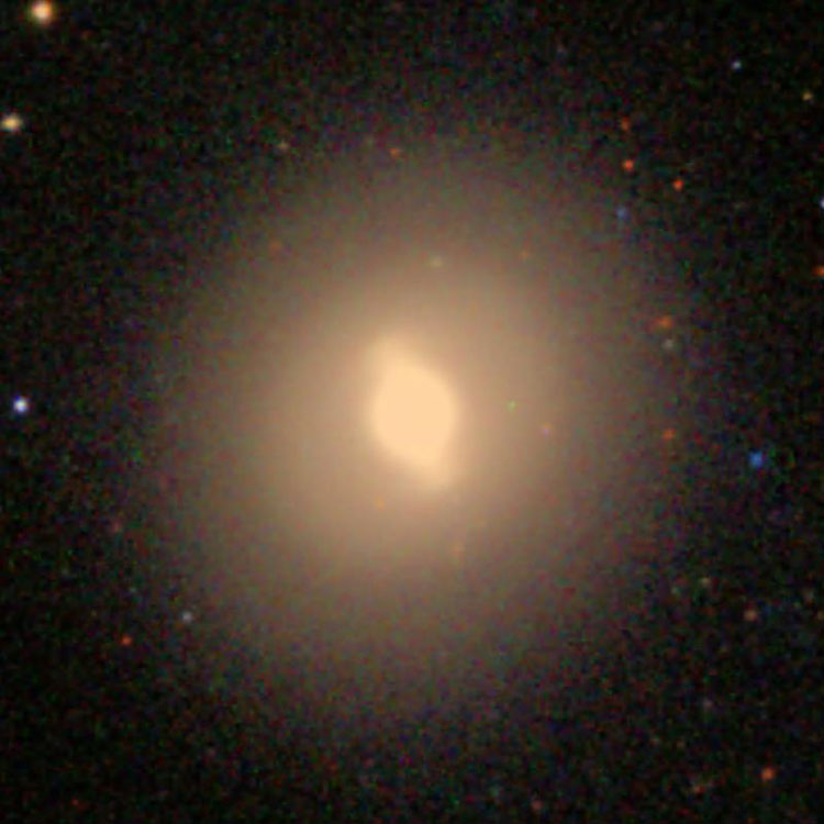 SDSS image of lenticular galaxy NGC 4262