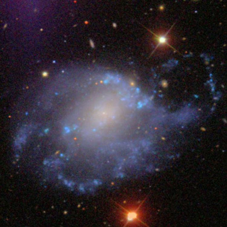 SDSS image of spiral galaxy NGC 428