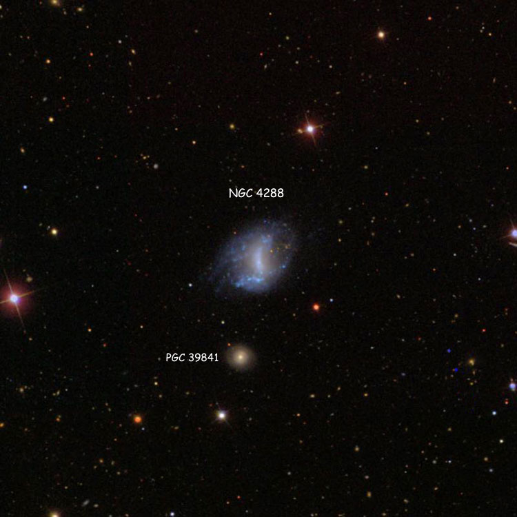 SDSS image of region near spiral galaxy NGC 4288, also showing lenticular galaxy PGC 39841, also known as NGC 4288A