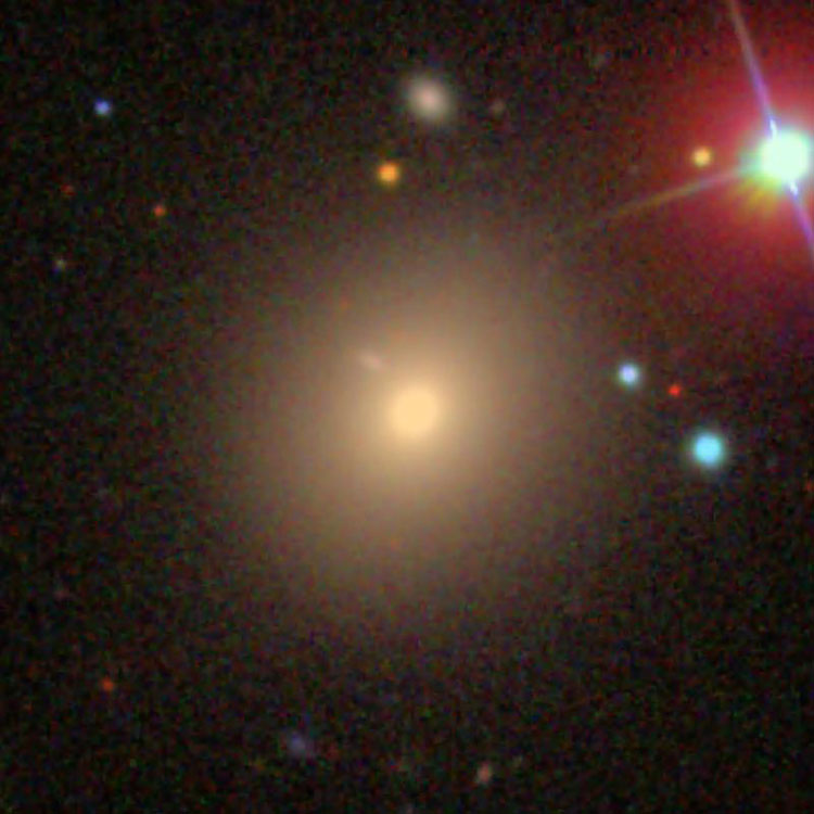 SDSS image of elliptical galaxy NGC 4360