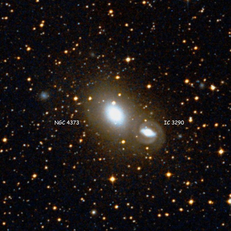 DSS image of region near lenticular galaxy NGC 4373, also showing spiral galaxy IC 3290
